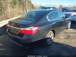 2014 Honda Accord Lx Черный vin: 1HGCR2F3XEA285602