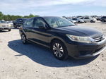 2015 Honda Accord Lx Черный vin: 1HGCR2F3XFA144983