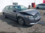 2015 Honda Accord Lx Gray vin: 1HGCR2F3XFA222985