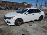 2017 Honda Accord Lx Белый vin: 1HGCR2F3XHA145487