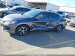 2017 Honda Accord Lx Серый vin: 1HGCR2F3XHA308753