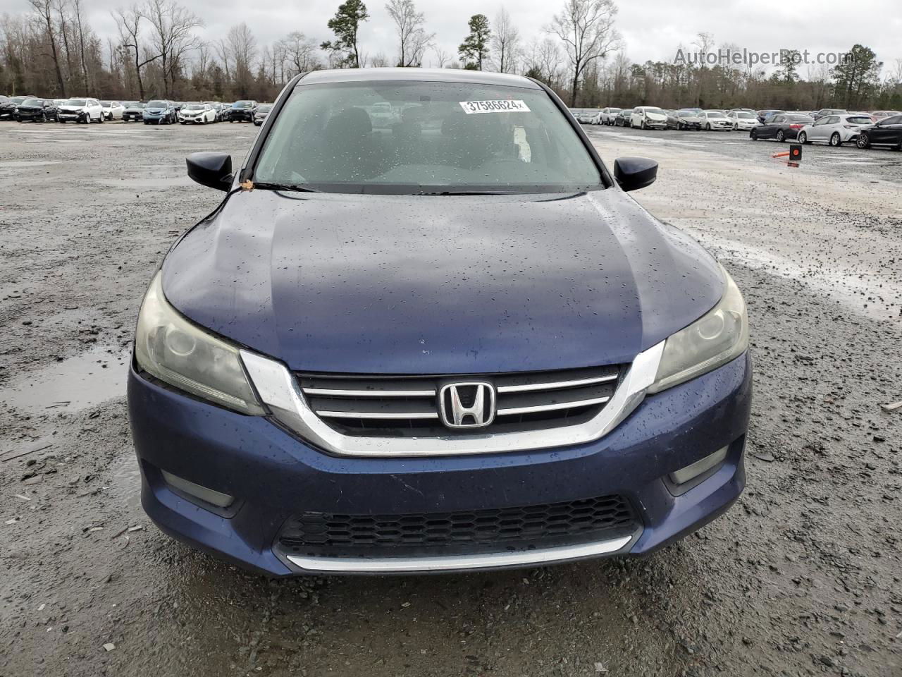 2014 Honda Accord Sport Blue vin: 1HGCR2F50EA018731