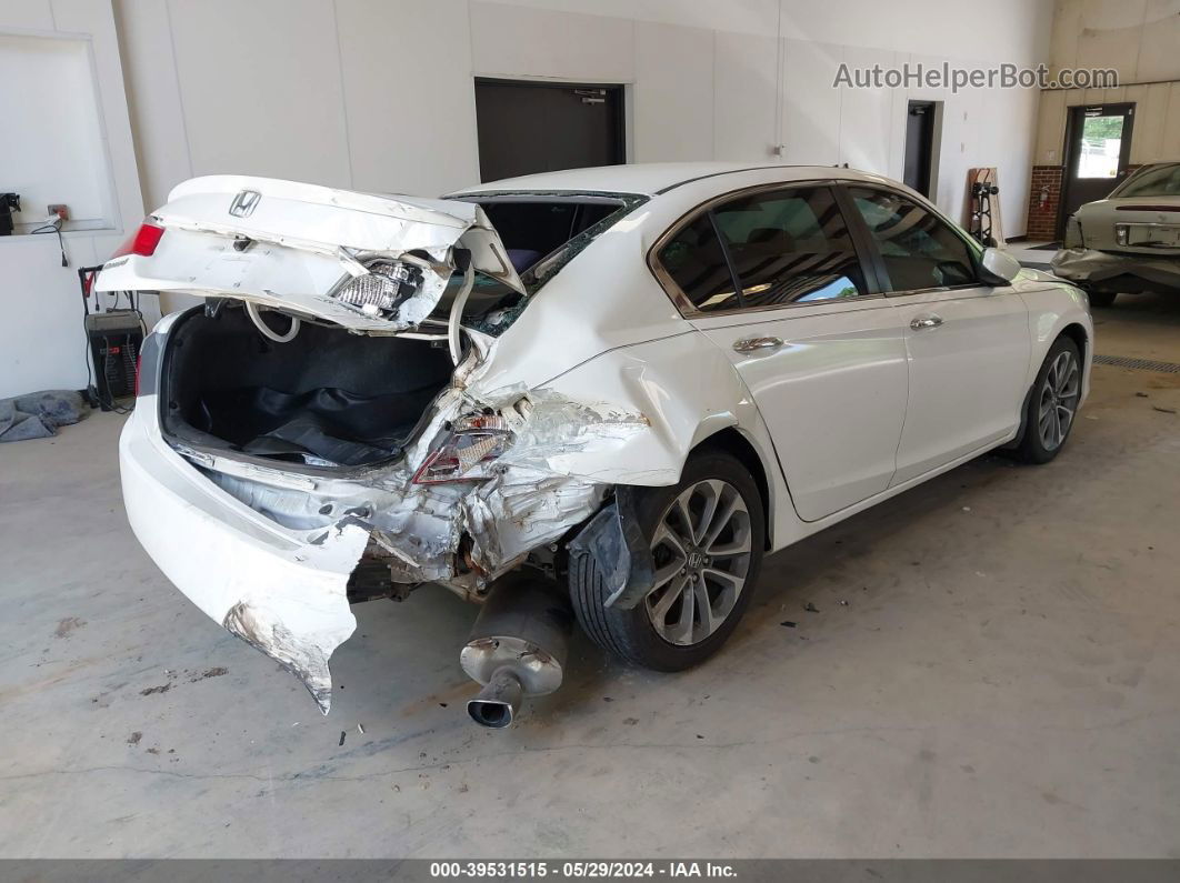 2014 Honda Accord Sport White vin: 1HGCR2F51EA246513