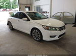 2014 Honda Accord Sport White vin: 1HGCR2F51EA246513