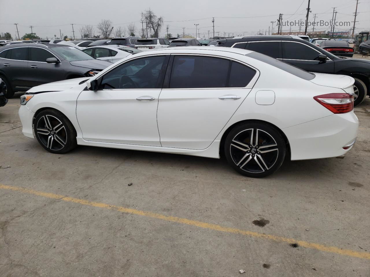 2016 Honda Accord Sport White vin: 1HGCR2F51GA157821