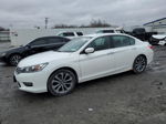 2014 Honda Accord Sport Белый vin: 1HGCR2F52EA033599