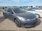 2014 Honda Accord Sdn Sport Серый vin: 1HGCR2F53EA025026