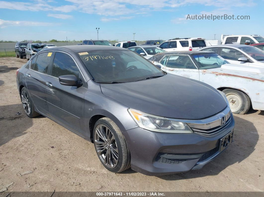 2014 Honda Accord Sdn Sport Gray vin: 1HGCR2F53EA025026