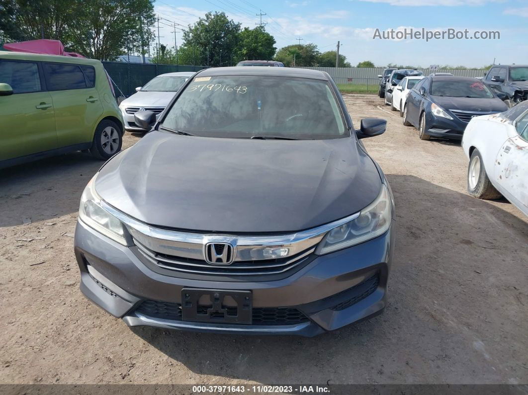 2014 Honda Accord Sdn Sport Gray vin: 1HGCR2F53EA025026