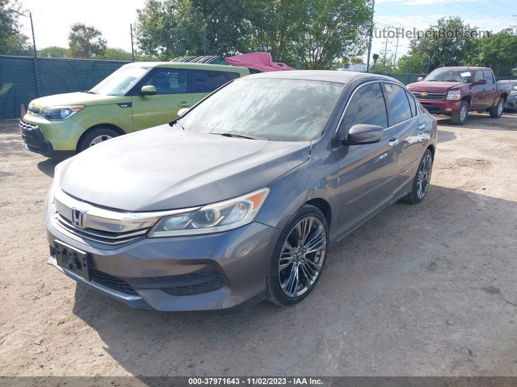 2014 Honda Accord Sdn Sport Серый vin: 1HGCR2F53EA025026