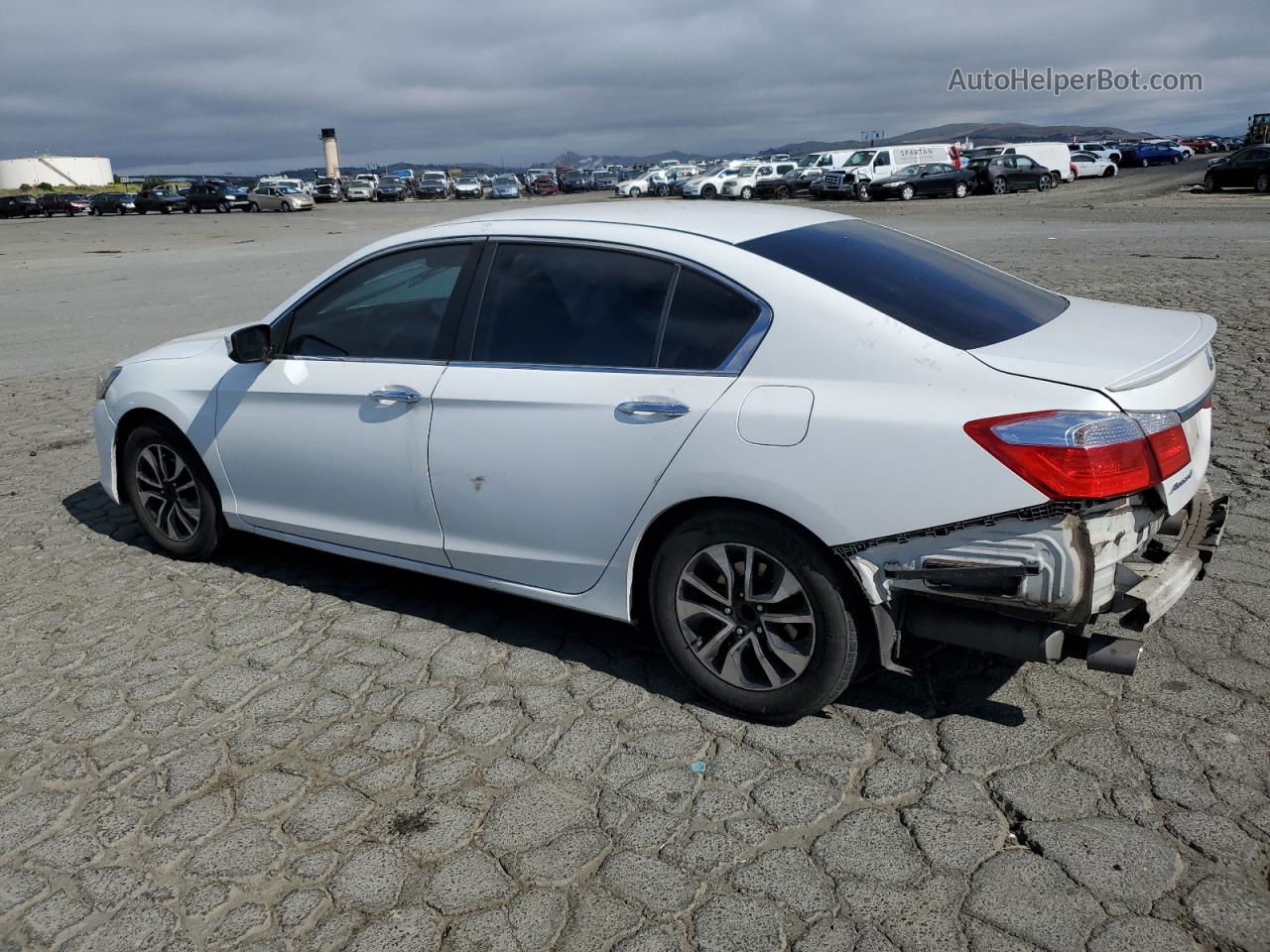 2014 Honda Accord Sport White vin: 1HGCR2F54EA069049