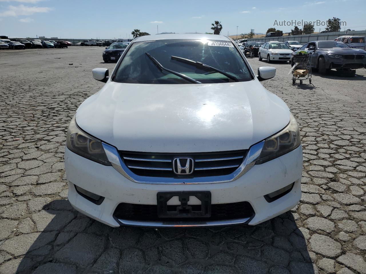 2014 Honda Accord Sport Белый vin: 1HGCR2F54EA069049