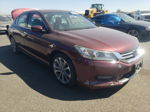 2014 Honda Accord Sport Бордовый vin: 1HGCR2F54EA080181