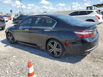 2016 Honda Accord Sport Черный vin: 1HGCR2F54GA137644