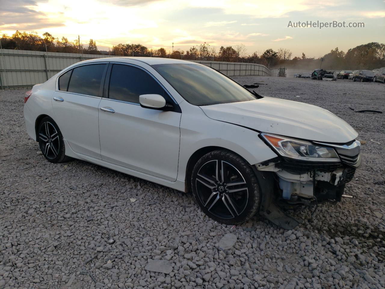 2017 Honda Accord Sport White vin: 1HGCR2F54HA111899