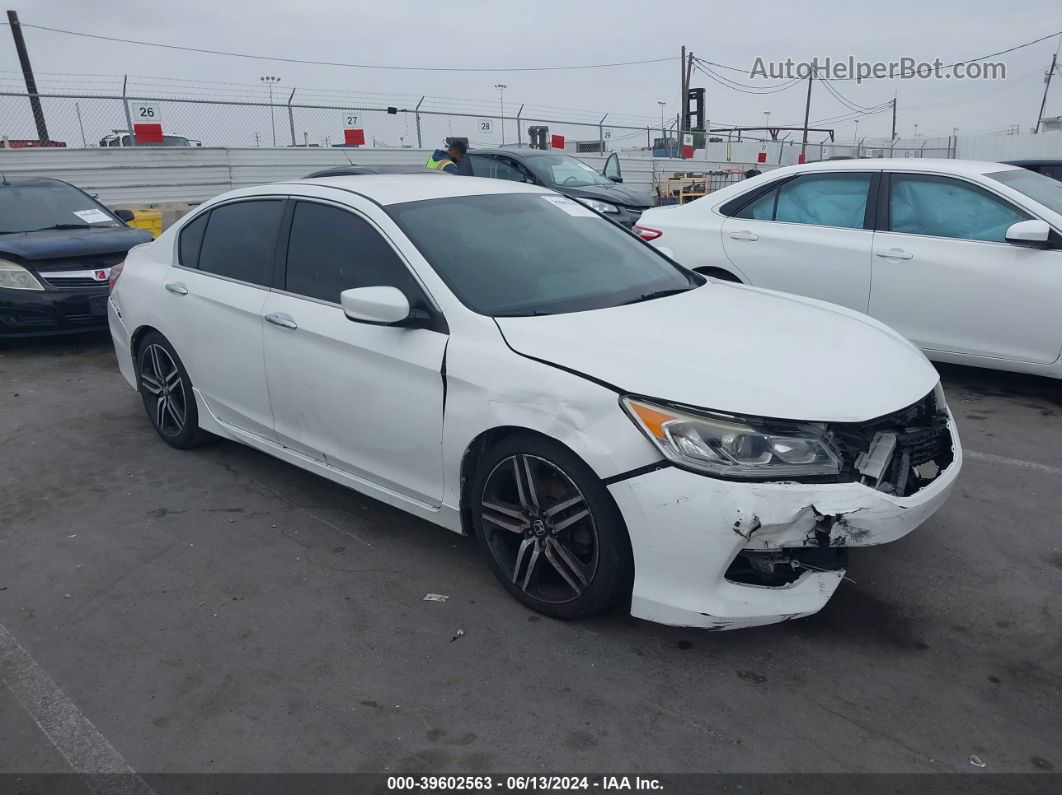 2016 Honda Accord Sport White vin: 1HGCR2F55GA195987