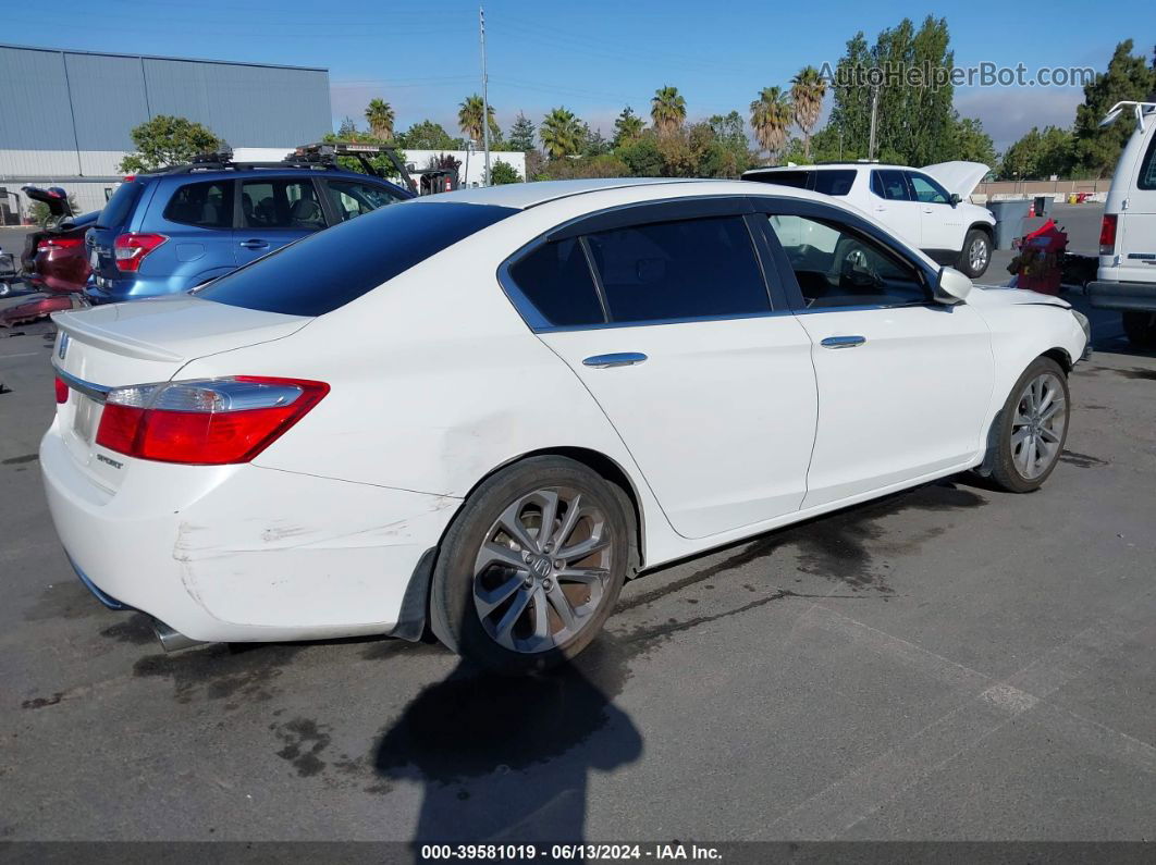 2014 Honda Accord Sport White vin: 1HGCR2F56EA099086