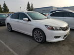 2014 Honda Accord Sport Белый vin: 1HGCR2F56EA282536