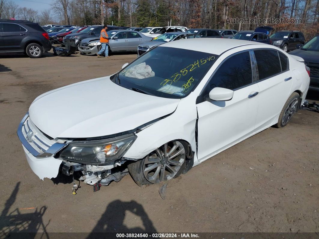 2015 Honda Accord Sport White vin: 1HGCR2F56FA193552