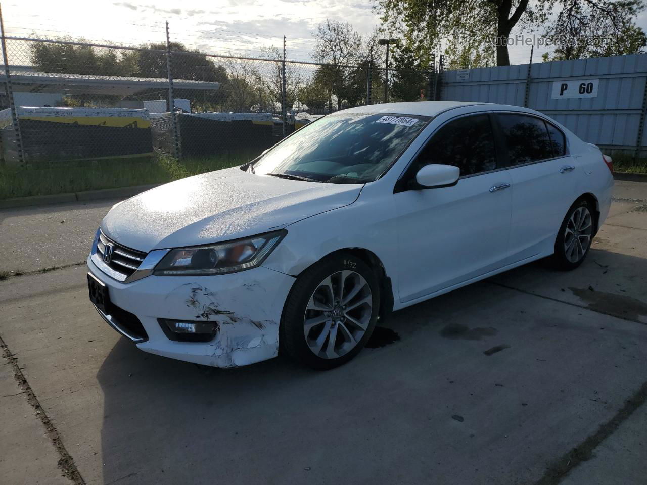 2014 Honda Accord Sport White vin: 1HGCR2F58EA150569