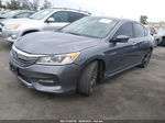 2017 Honda Accord Sedan Sport Gray vin: 1HGCR2F58HA234377