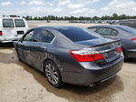 2014 Honda Accord Sport Серый vin: 1HGCR2F59EA062050