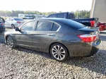 2014 Honda Accord Sport Серый vin: 1HGCR2F59EA162908