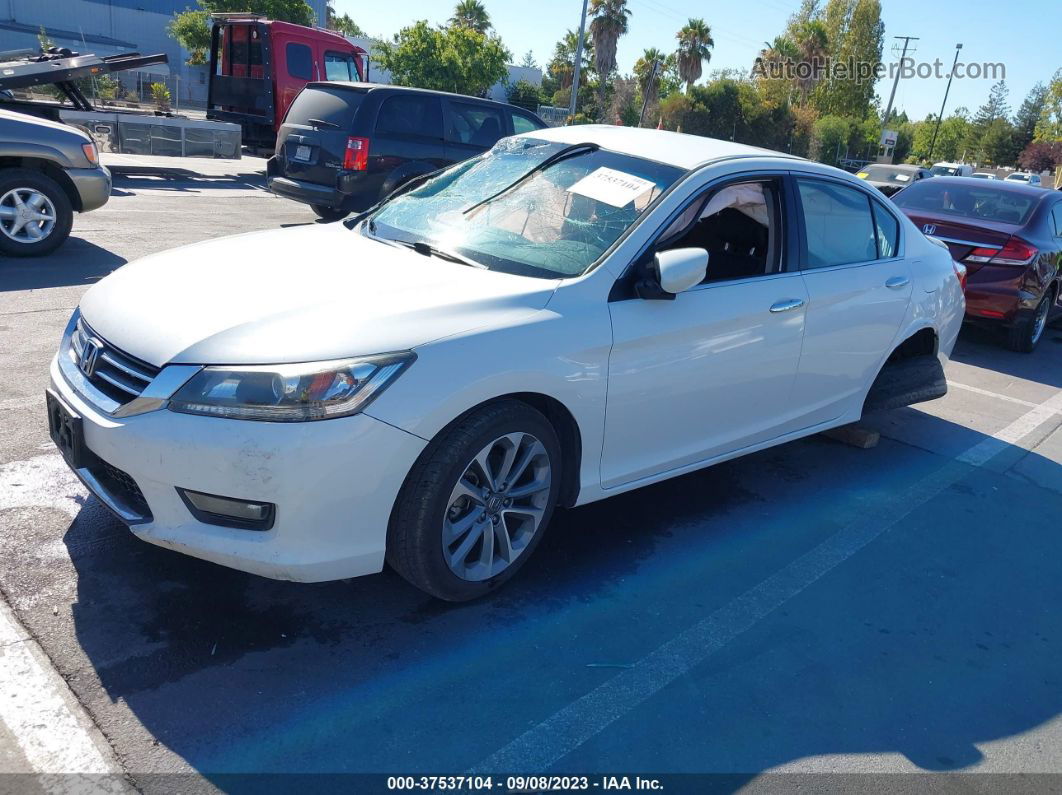 2015 Honda Accord Sport White vin: 1HGCR2F59FA038431