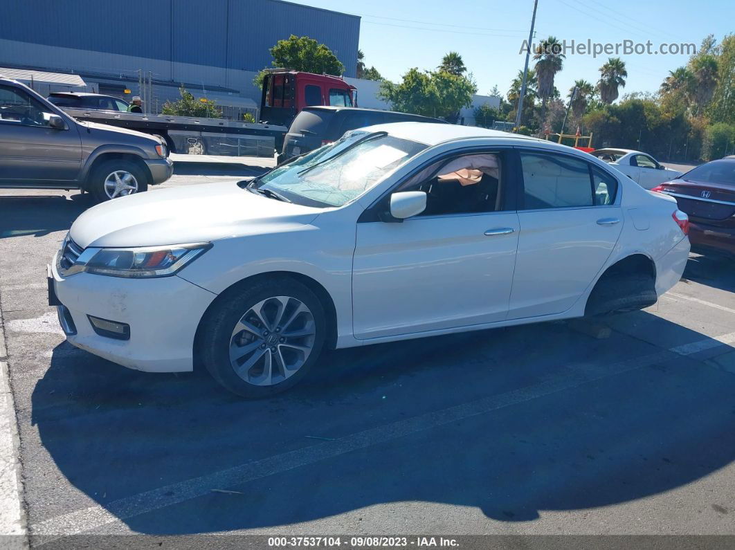 2015 Honda Accord Sport White vin: 1HGCR2F59FA038431