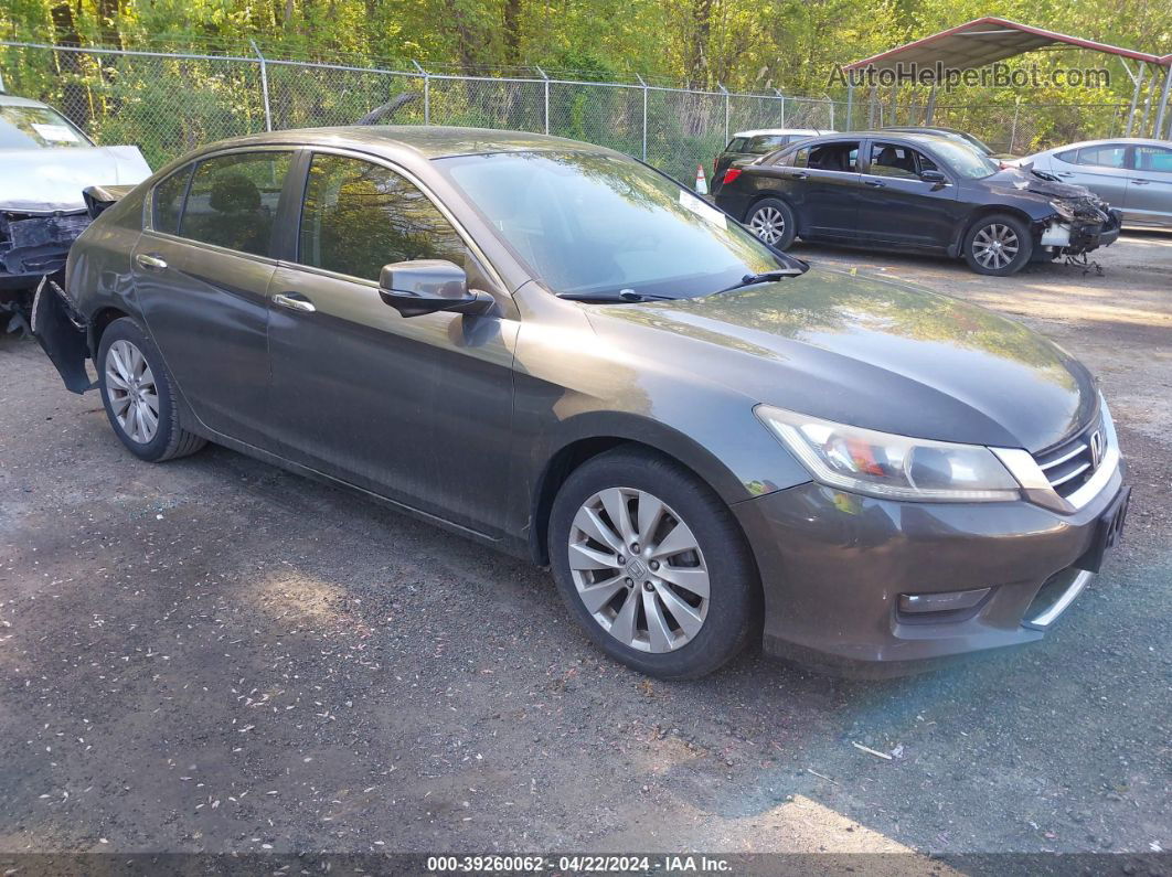 2014 Honda Accord Ex Gray vin: 1HGCR2F70EA085718