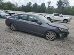 2014 Honda Accord Ex Gray vin: 1HGCR2F70EA184572