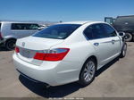 2014 Honda Accord Ex White vin: 1HGCR2F70EA239666