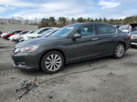 2014 Honda Accord Ex Gray vin: 1HGCR2F71EA025768