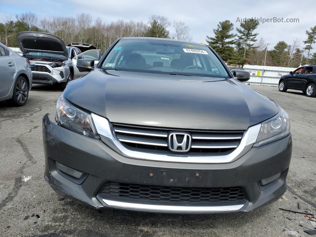 2014 Honda Accord Ex Gray vin: 1HGCR2F71EA025768