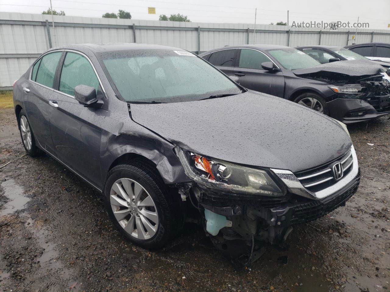 2014 Honda Accord Ex Gray vin: 1HGCR2F71EA075876