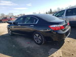 2014 Honda Accord Ex Black vin: 1HGCR2F72EA075823