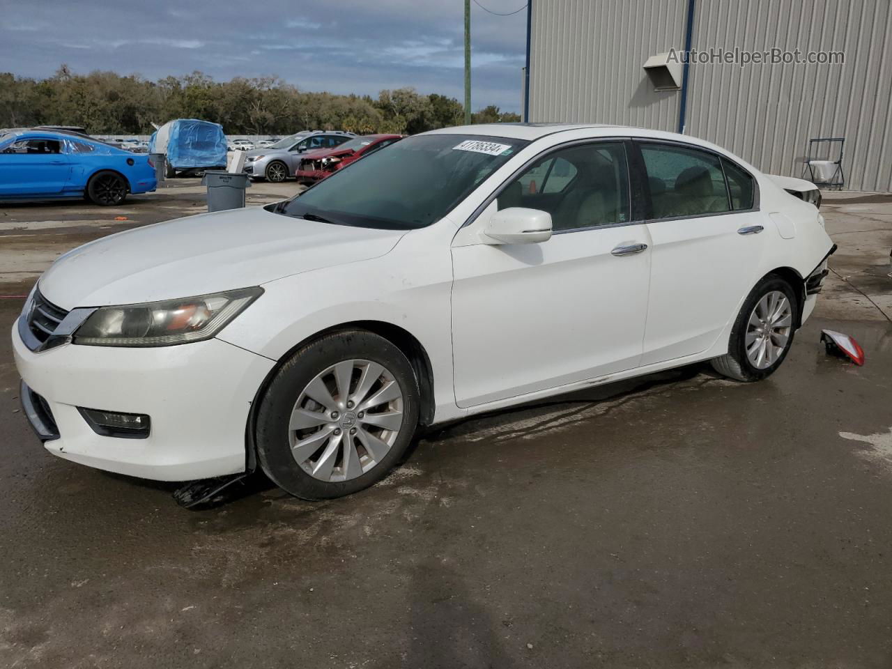 2014 Honda Accord Ex White vin: 1HGCR2F72EA286715