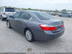 2014 Honda Accord Ex Gray vin: 1HGCR2F73EA177759