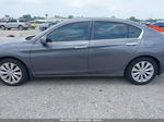 2014 Honda Accord Ex Gray vin: 1HGCR2F73EA177759