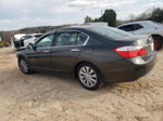 2014 Honda Accord Ex Gray vin: 1HGCR2F73EA225101