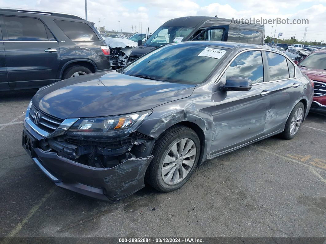 2014 Honda Accord Ex Gray vin: 1HGCR2F73EA256851