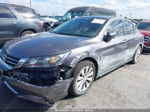 2014 Honda Accord Ex Gray vin: 1HGCR2F73EA256851