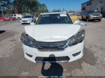 2014 Honda Accord Ex White vin: 1HGCR2F74EA081963