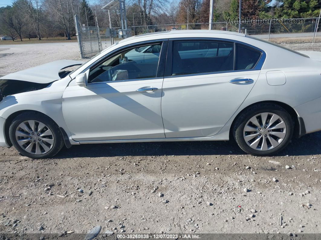 2014 Honda Accord Ex White vin: 1HGCR2F74EA081963