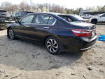 2017 Honda Accord Ex Черный vin: 1HGCR2F74HA005387