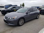 2014 Honda Accord Ex Gray vin: 1HGCR2F75EA114887