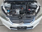 2015 Honda Accord Ex Белый vin: 1HGCR2F75FA032658