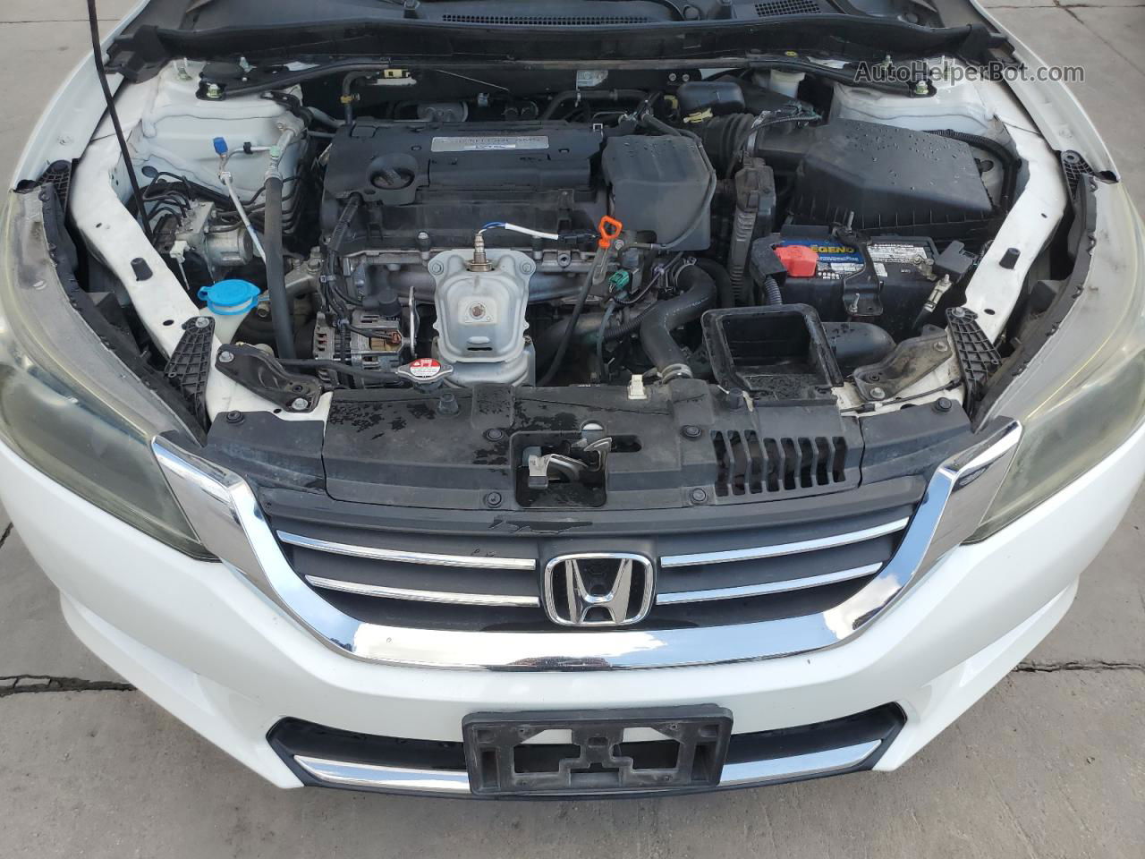 2015 Honda Accord Ex Белый vin: 1HGCR2F75FA032658