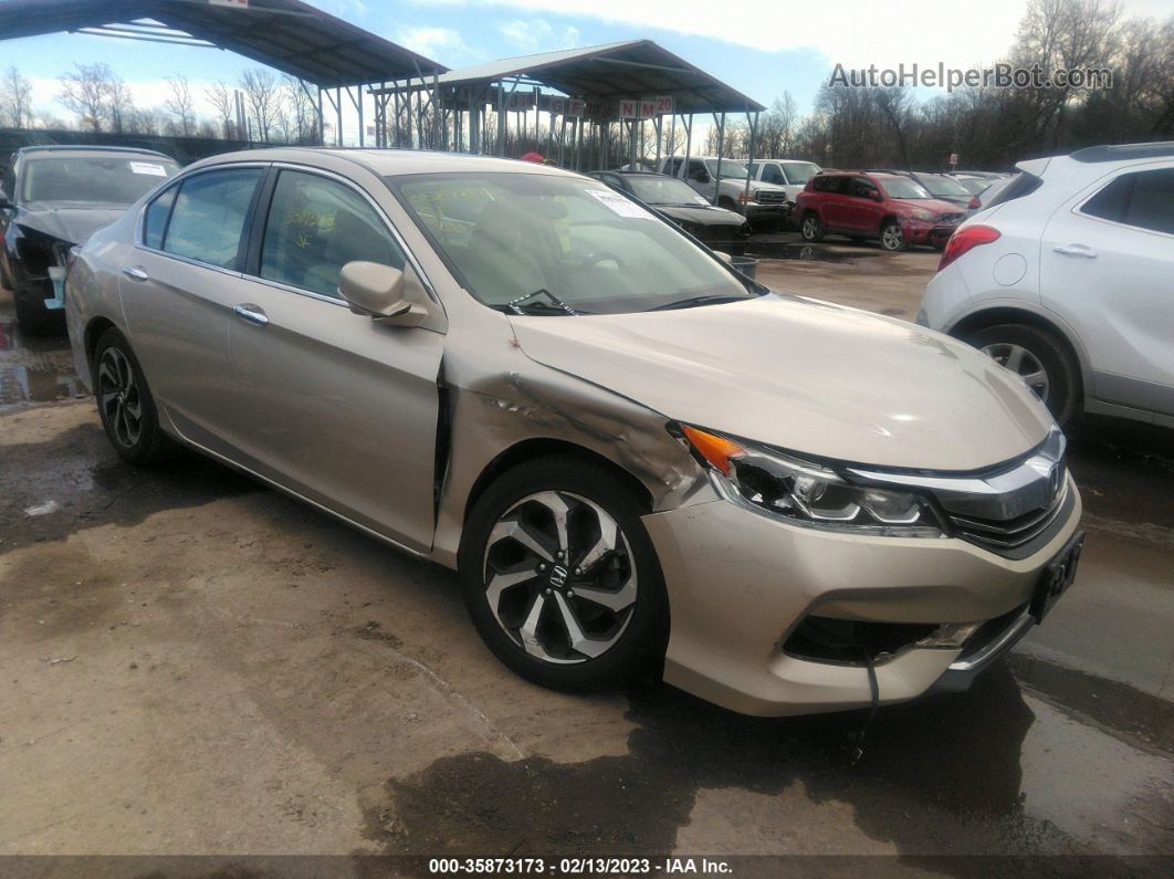 2017 Honda Accord Ex Золотой vin: 1HGCR2F75HA125831