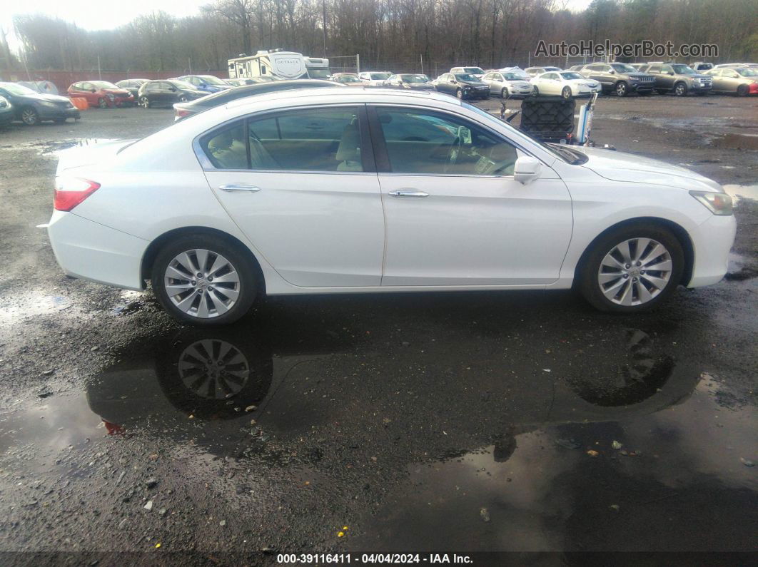 2014 Honda Accord Ex Белый vin: 1HGCR2F76EA163189